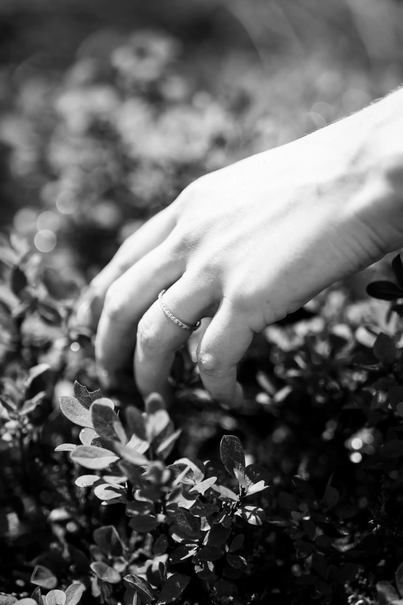 hochzeit-anna-sandro-11